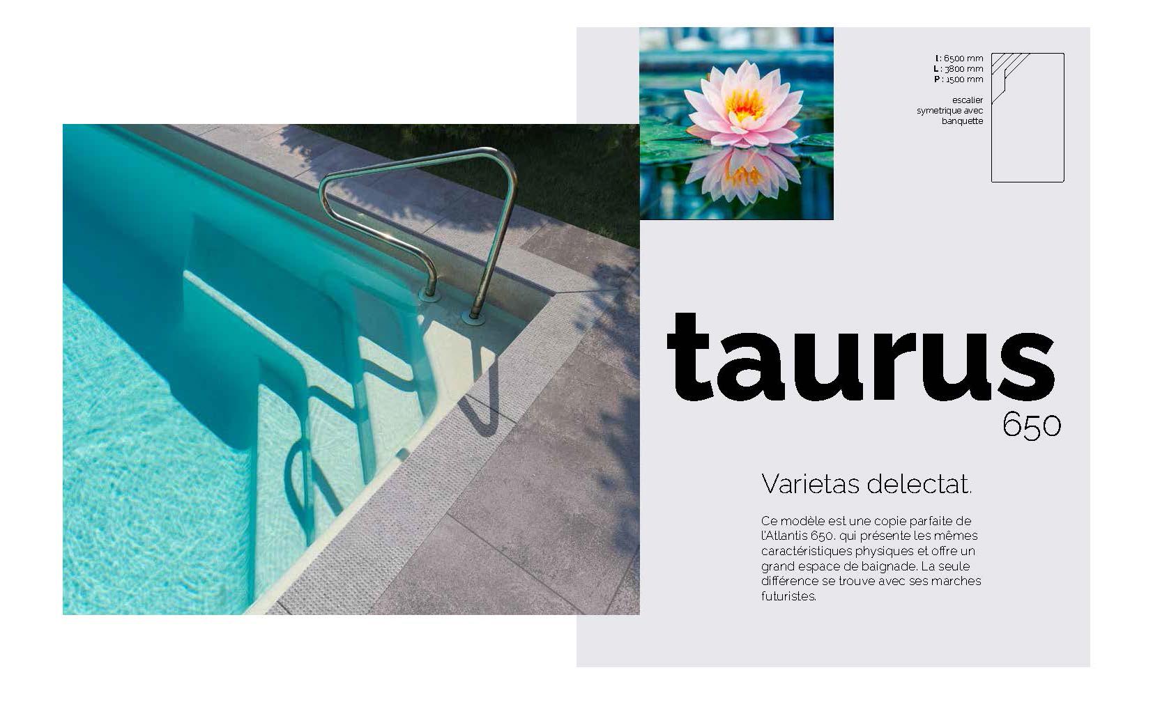 Taurus 650 Piscine : 6,50 m x 3,80 m x 1,50 m, coque céramique ou polyester